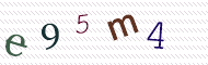 CAPTCHA code
