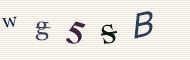 CAPTCHA code